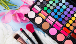 Regulatory Report for Cosmetics of Philippines